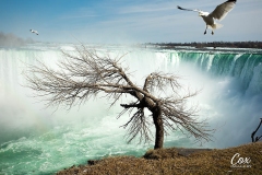 niagara-falls-canada-waterfall